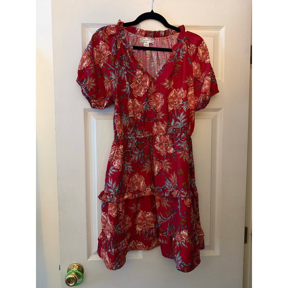 Beautiful Dress By Land Of the Free Size Small